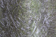 Ingleigh Green fibreglass roof work